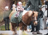 Adventausstellung in Egg & Andelsbuch - SONNTAG, 16. November 🎄✨