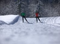 Loipe und Winterwanderweg in Großdorf