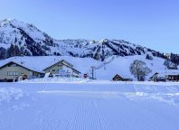 Schetteregg Sommer 2026 - Entscheidung, Wirkung, Handlungsfenster