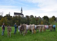 Viehausstellung in Egg - SA, 11.04