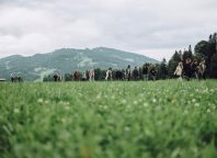 FAQ Light im Bregenzerwald — 04. bis 06.09.2026